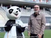 俱乐部代表色为黑白，德甲新军埃尔沃斯贝格的吉祥物是大熊猫