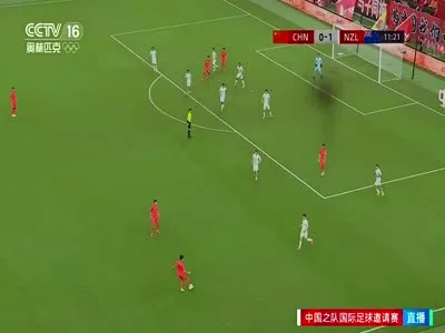 国足对阵新西兰转播镜头上疑似出现蜘蛛