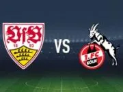 半场战报：斯图加特1-0科隆，哈努斯破门