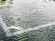 每体:西班牙多场比赛因暴雨雷暴延期