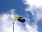 独立监管机构报告：英格兰前5级联赛116家俱乐部仅7家盈利