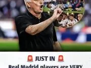⚪ 皇马更衣室怒了!维尼修斯被VAR罚下,为何李...