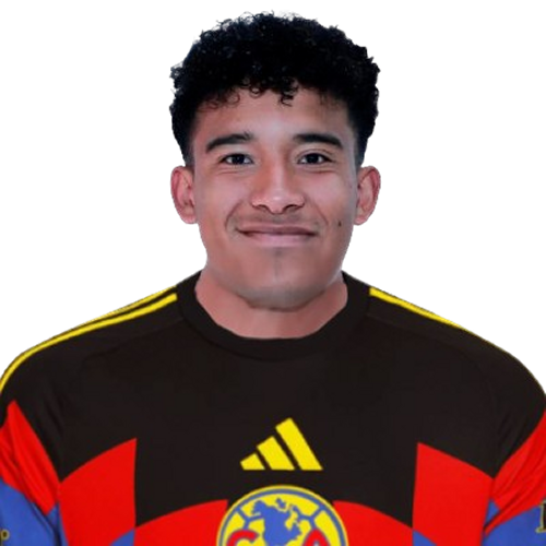 Isaias Violante头像