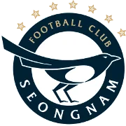 Seongnam队徽