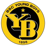伯尔尼年轻人U21队徽