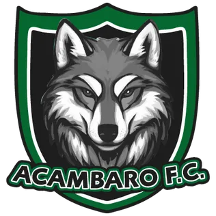 Acambaro队徽