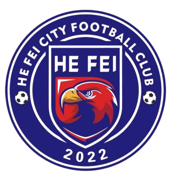 Hefei Sports School City U17队徽