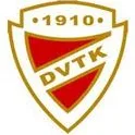 Diosgyori VTK Women队徽