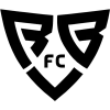 基辅反抗队徽
