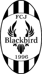 Jyvaskyla Blackbird队徽