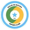 Rolim de Moura队徽