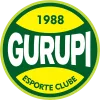 Gurupi队徽