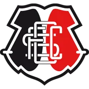 圣十字队徽