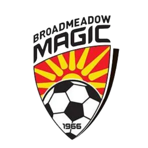 Broadmeadow Magic队徽