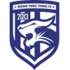 Wuhan Three Towns U15队徽