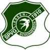 SV索尼克斯队徽
