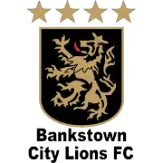 班克斯敦城雄狮U20队徽